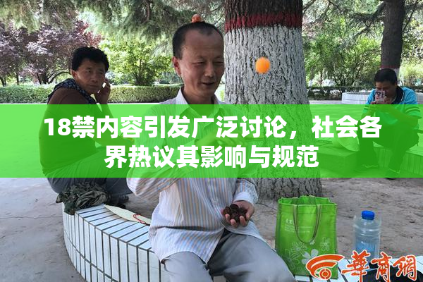 18禁内容引发广泛讨论，社会各界热议其影响与规范