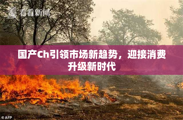 国产Ch引领市场新趋势，迎接消费升级新时代