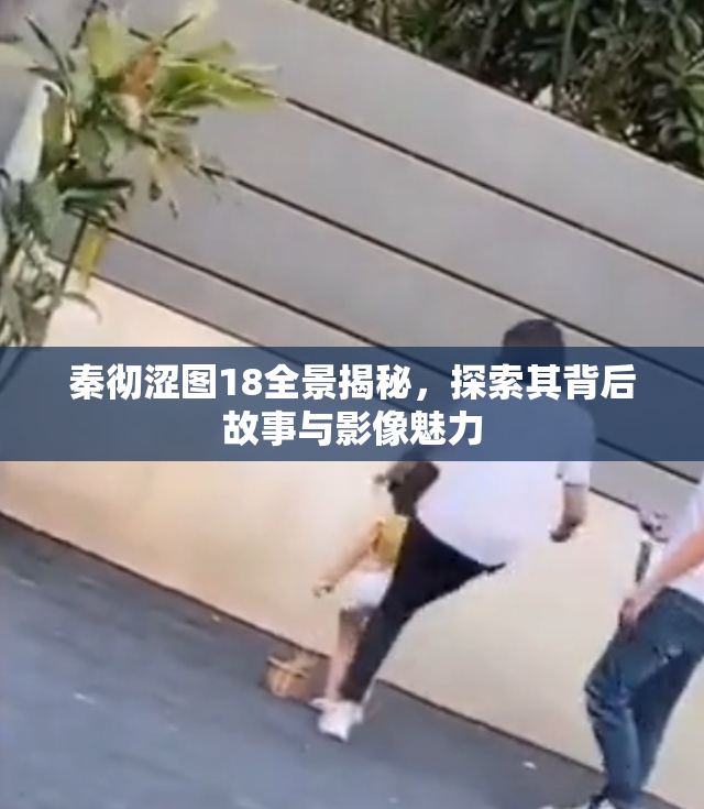 秦彻涩图18全景揭秘，探索其背后故事与影像魅力