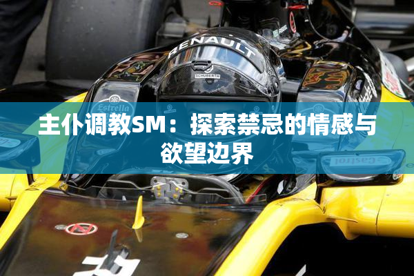 主仆调教SM：探索禁忌的情感与欲望边界