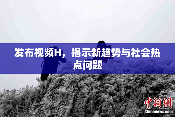 发布视频H，揭示新趋势与社会热点问题