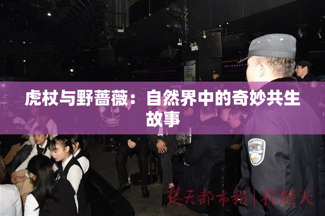 虎杖与野蔷薇：自然界中的奇妙共生故事