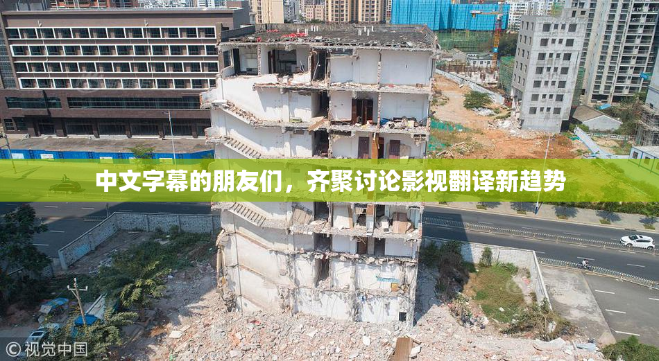 中文字幕的朋友们，齐聚讨论影视翻译新趋势