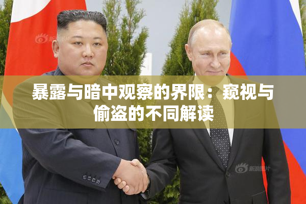 暴露与暗中观察的界限：窥视与偷盗的不同解读
