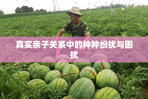 真实亲子关系中的种种纷扰与困扰