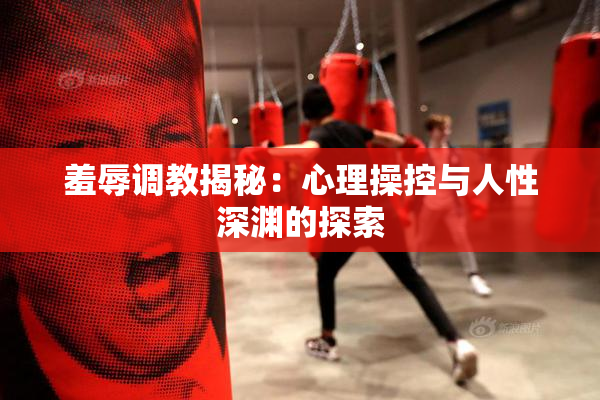 羞辱调教揭秘：心理操控与人性深渊的探索