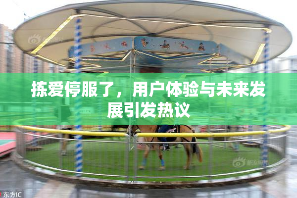 拣爱停服了，用户体验与未来发展引发热议