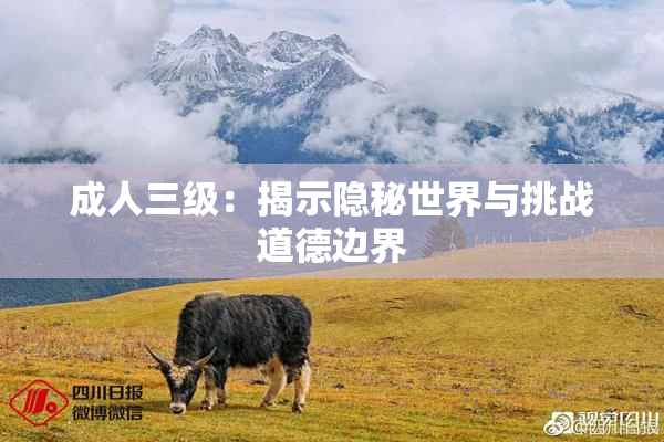 成人三级：揭示隐秘世界与挑战道德边界