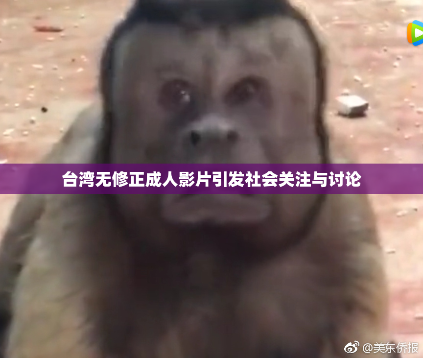 台湾无修正成人影片引发社会关注与讨论