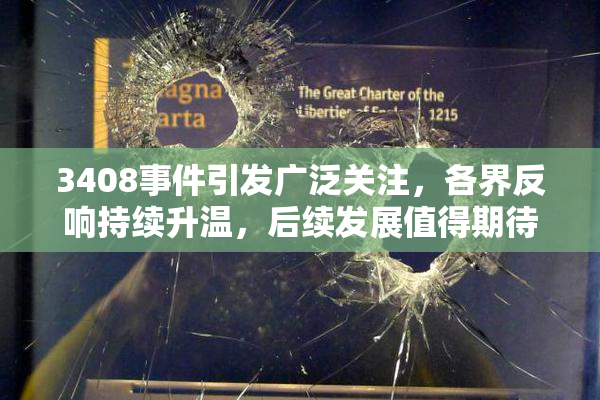 3408事件引发广泛关注，各界反响持续升温，后续发展值得期待