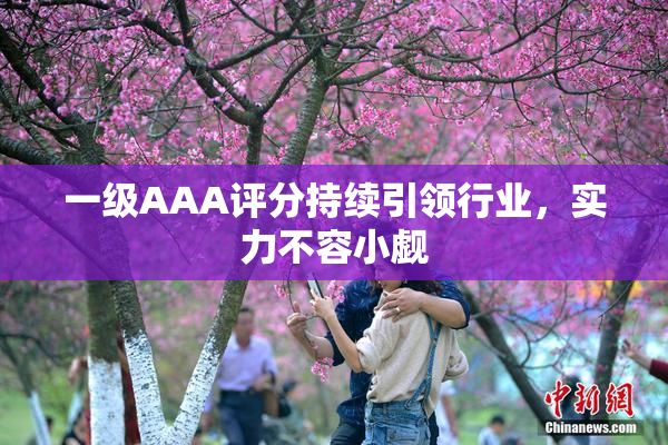 一级AAA评分持续引领行业，实力不容小觑