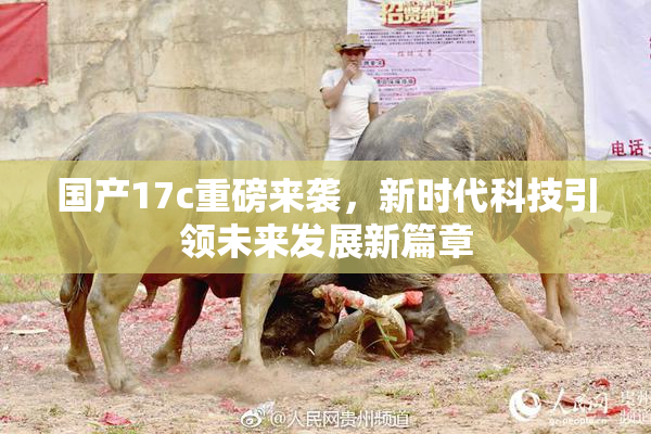 国产17c重磅来袭，新时代科技引领未来发展新篇章