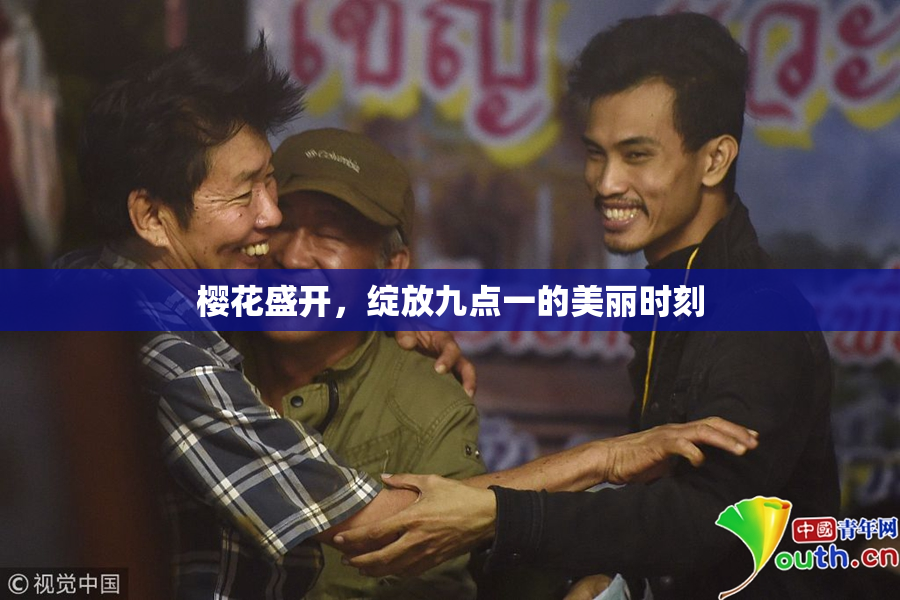 樱花盛开，绽放九点一的美丽时刻