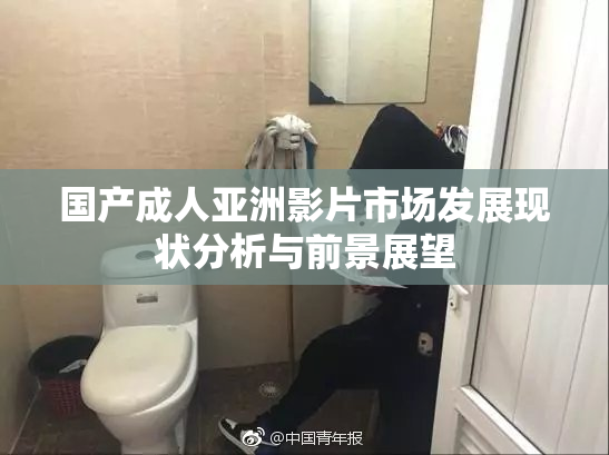 国产成人亚洲影片市场发展现状分析与前景展望
