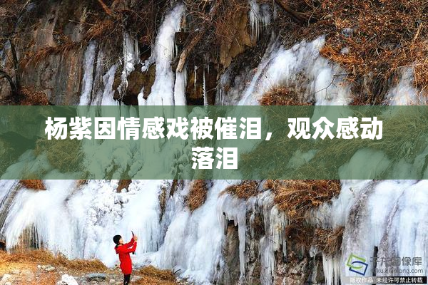 杨紫因情感戏被催泪，观众感动落泪