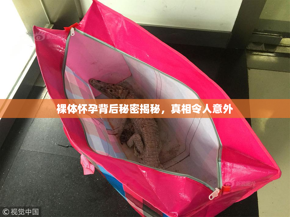 裸体怀孕背后秘密揭秘，真相令人意外