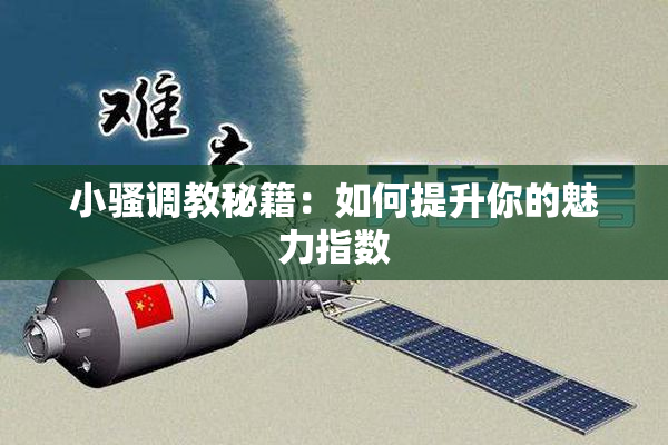 小骚调教秘籍：如何提升你的魅力指数