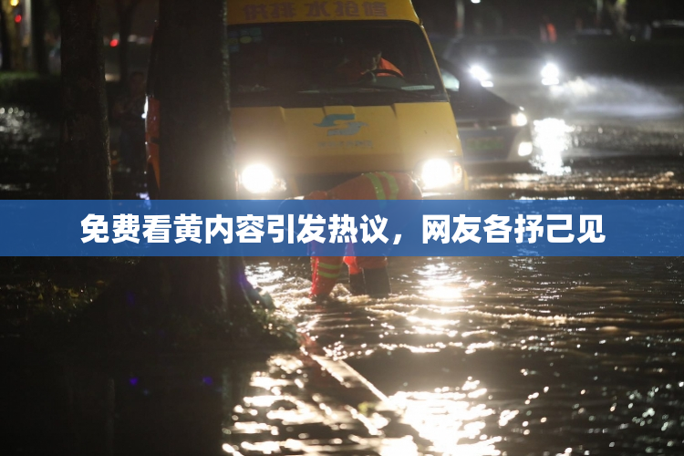 免费看黄内容引发热议，网友各抒己见