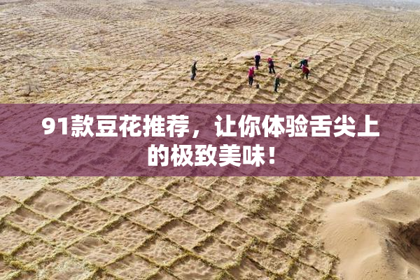 91款豆花推荐，让你体验舌尖上的极致美味！