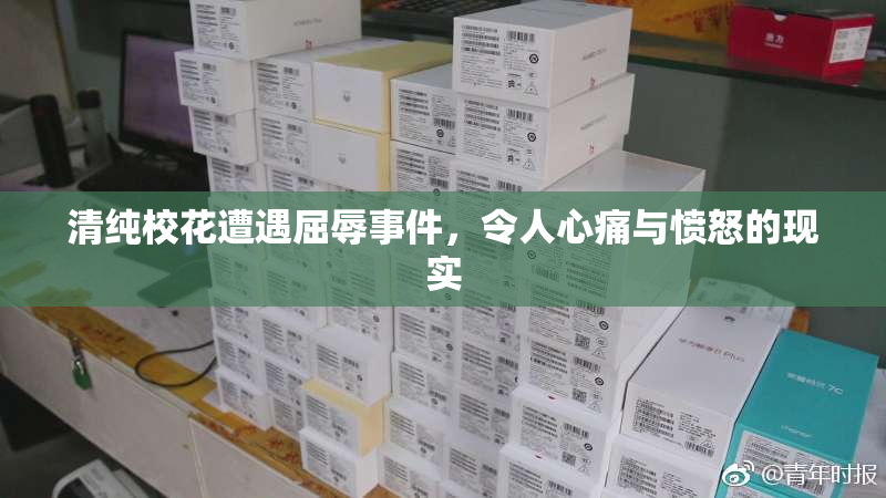 清纯校花遭遇屈辱事件，令人心痛与愤怒的现实