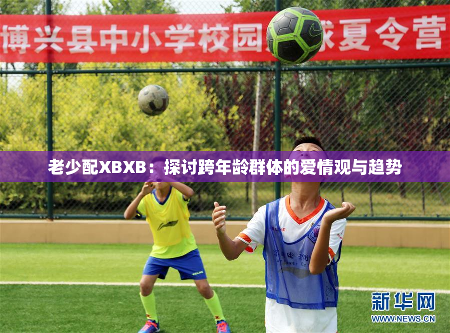 老少配XBXB：探讨跨年龄群体的爱情观与趋势