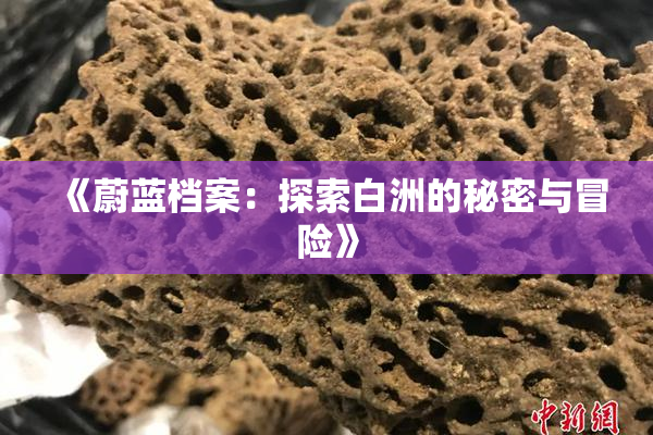 《蔚蓝档案：探索白洲的秘密与冒险》