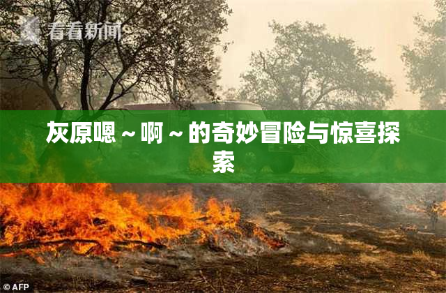 灰原嗯～啊～的奇妙冒险与惊喜探索