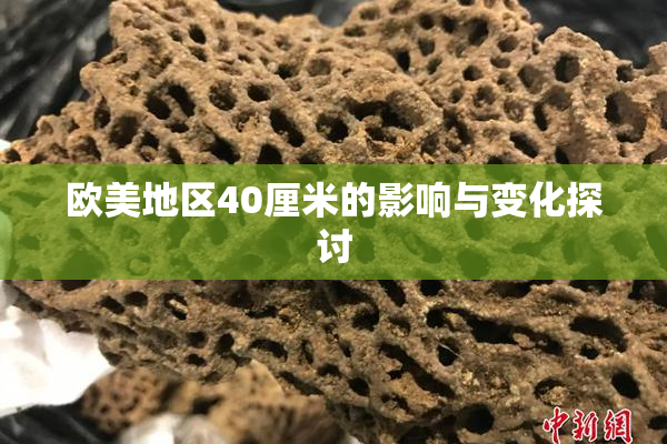 欧美地区40厘米的影响与变化探讨