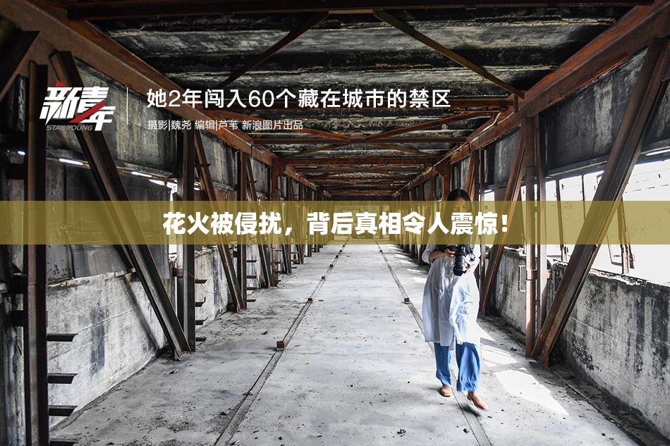 花火被侵扰，背后真相令人震惊！