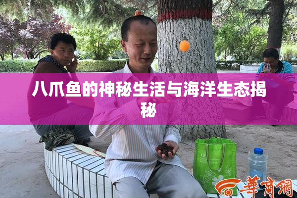八爪鱼的神秘生活与海洋生态揭秘
