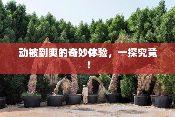 动被到爽的奇妙体验，一探究竟！