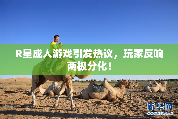 R星成人游戏引发热议，玩家反响两极分化！