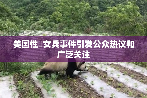 美国性婬女兵事件引发公众热议和广泛关注