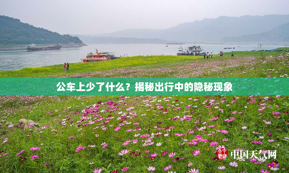 公车上少了什么？揭秘出行中的隐秘现象