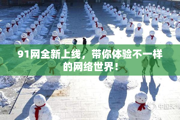 91网全新上线，带你体验不一样的网络世界！
