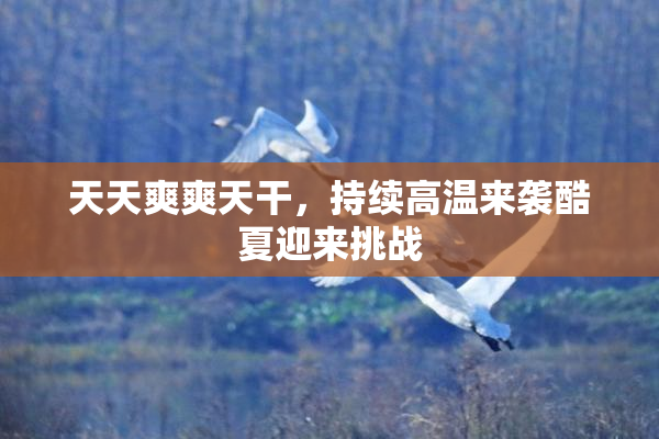 天天爽爽天干，持续高温来袭酷夏迎来挑战