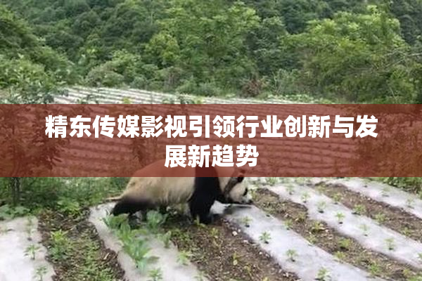 精东传媒影视引领行业创新与发展新趋势