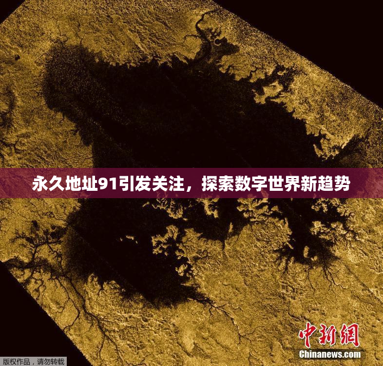 永久地址91引发关注，探索数字世界新趋势