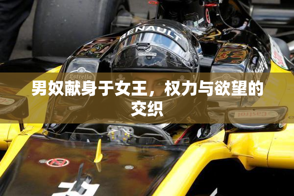 男奴献身于女王，权力与欲望的交织