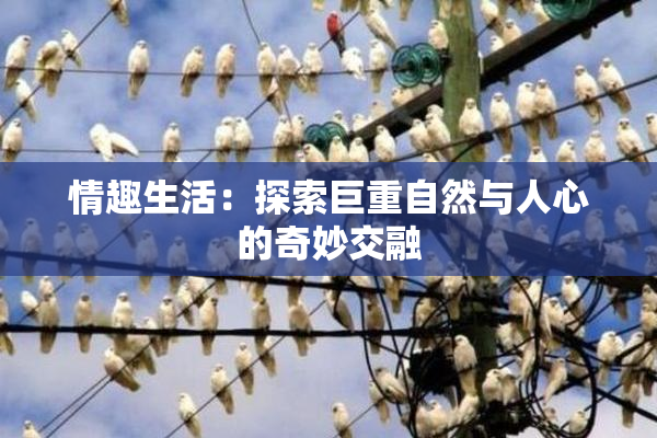 情趣生活：探索巨重自然与人心的奇妙交融