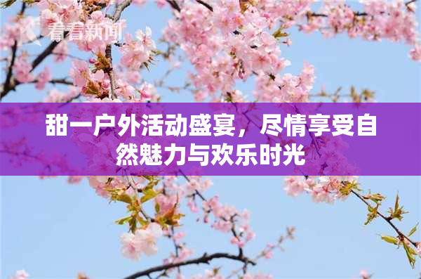 甜一户外活动盛宴，尽情享受自然魅力与欢乐时光