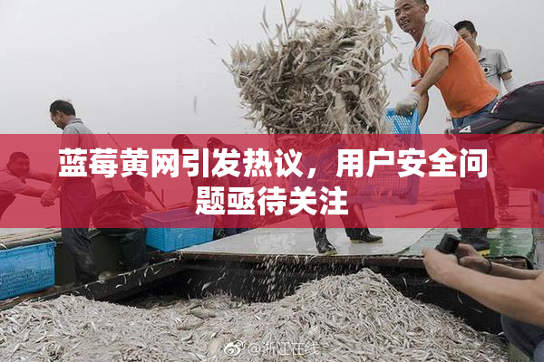 蓝莓黄网引发热议，用户安全问题亟待关注