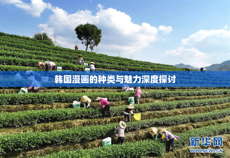 韩国漫画的种类与魅力深度探讨