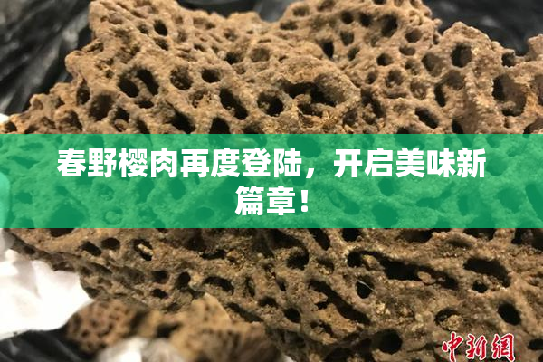 春野樱肉再度登陆，开启美味新篇章！