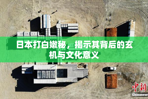 日本打白嫩秘，揭示其背后的玄机与文化意义