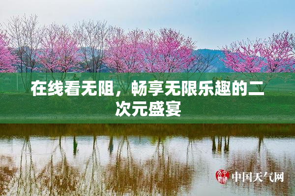 在线看无阻，畅享无限乐趣的二次元盛宴