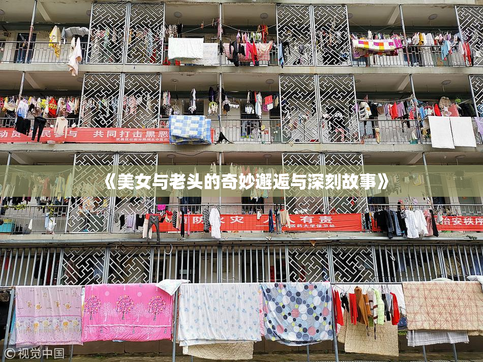 《美女与老头的奇妙邂逅与深刻故事》