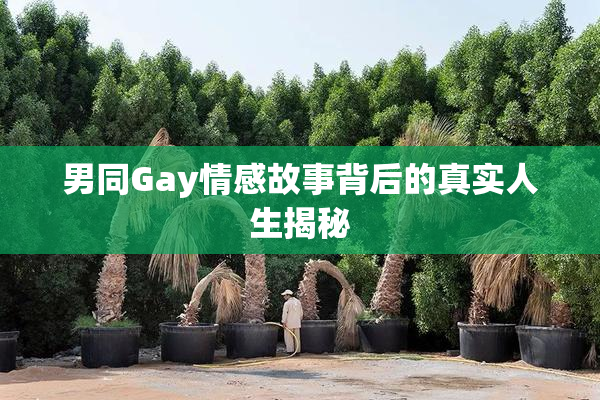 男同Gay情感故事背后的真实人生揭秘