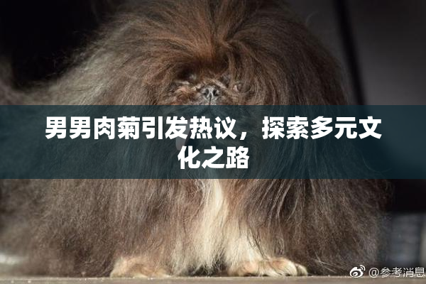 男男肉菊引发热议，探索多元文化之路