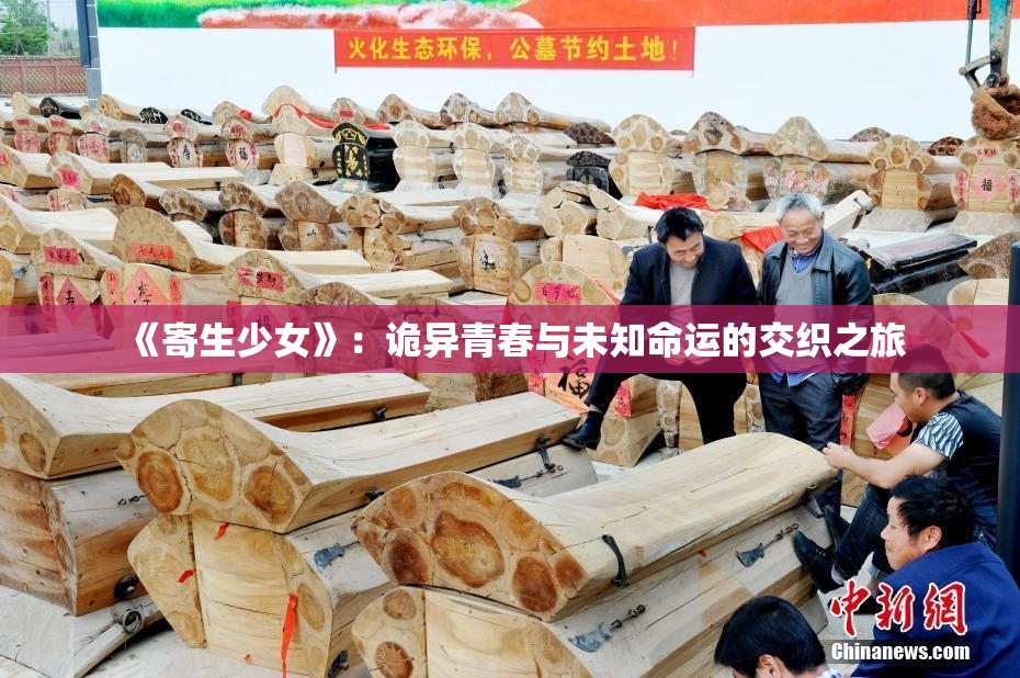 《寄生少女》：诡异青春与未知命运的交织之旅